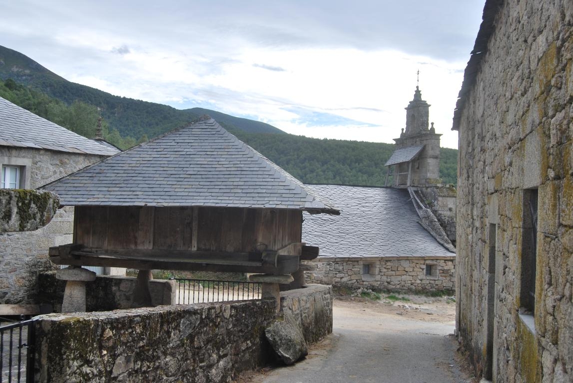 Ancares: Suarbol . Leon. Bierzo. fcmv