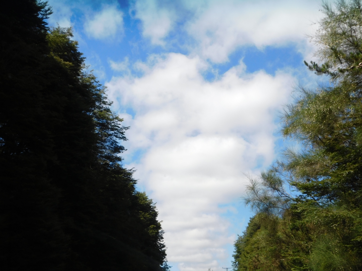 La carretera te sorprende con sus paisajes