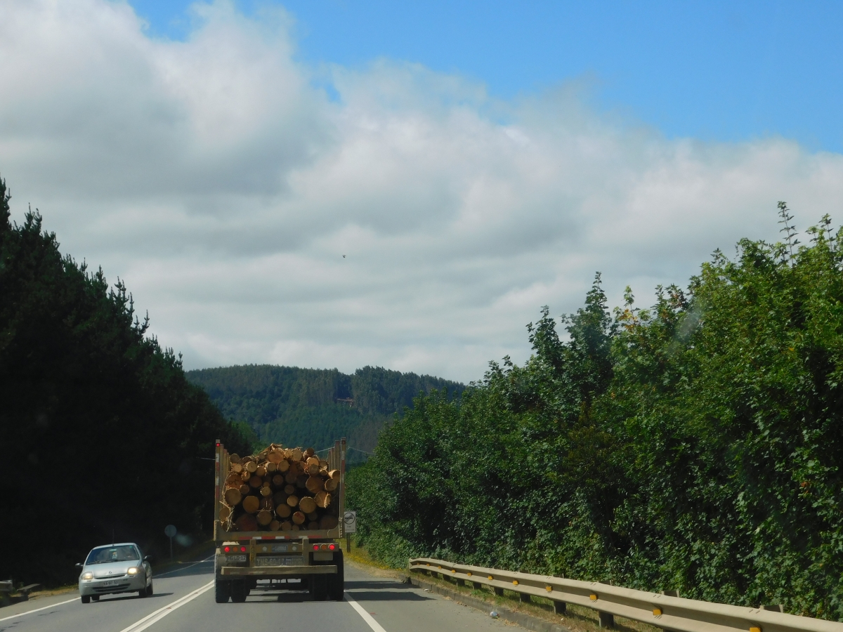 As es su paisaje en las carreteras del Sur