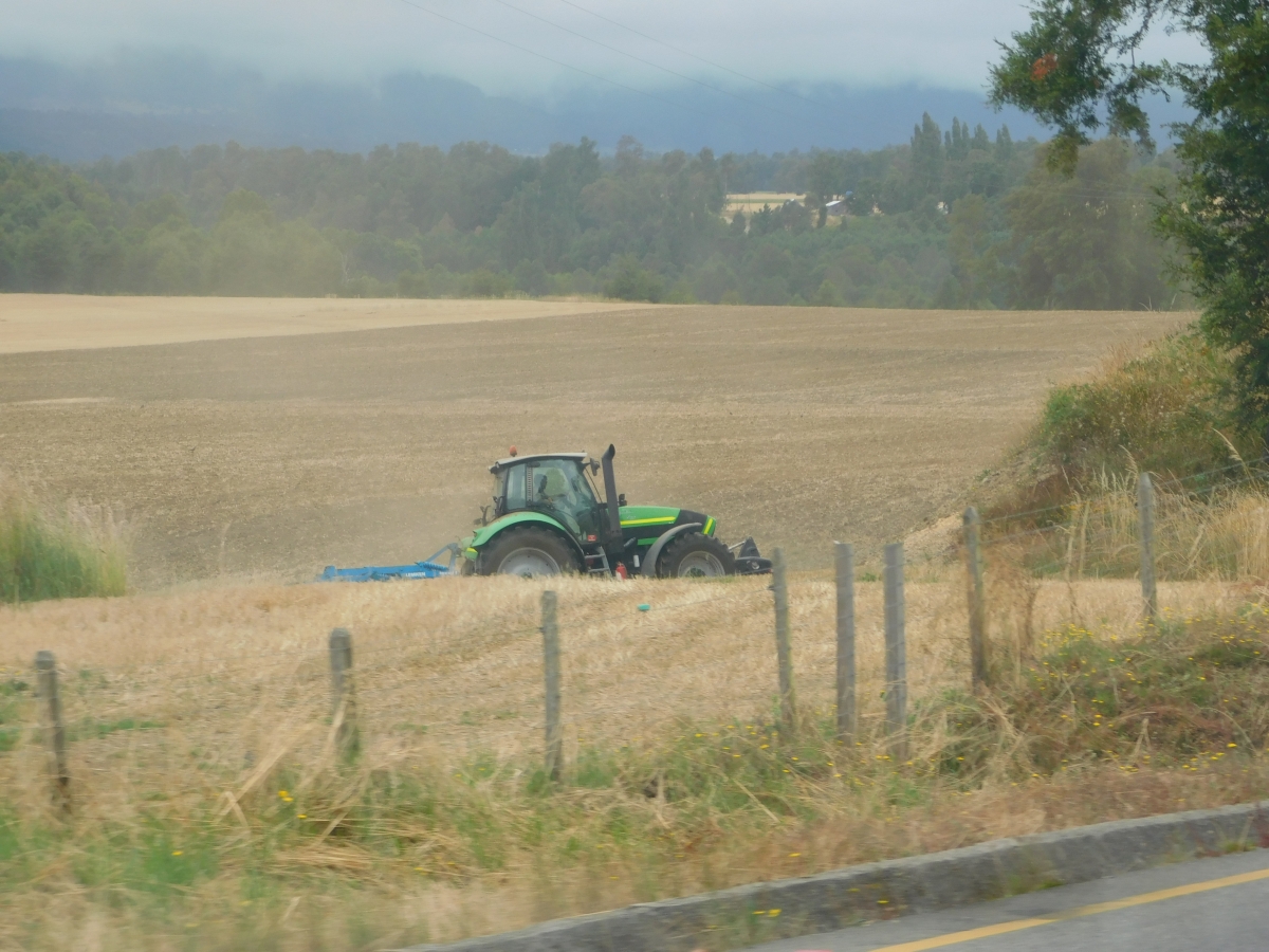 Preparando la tierra para la prxima cosecha