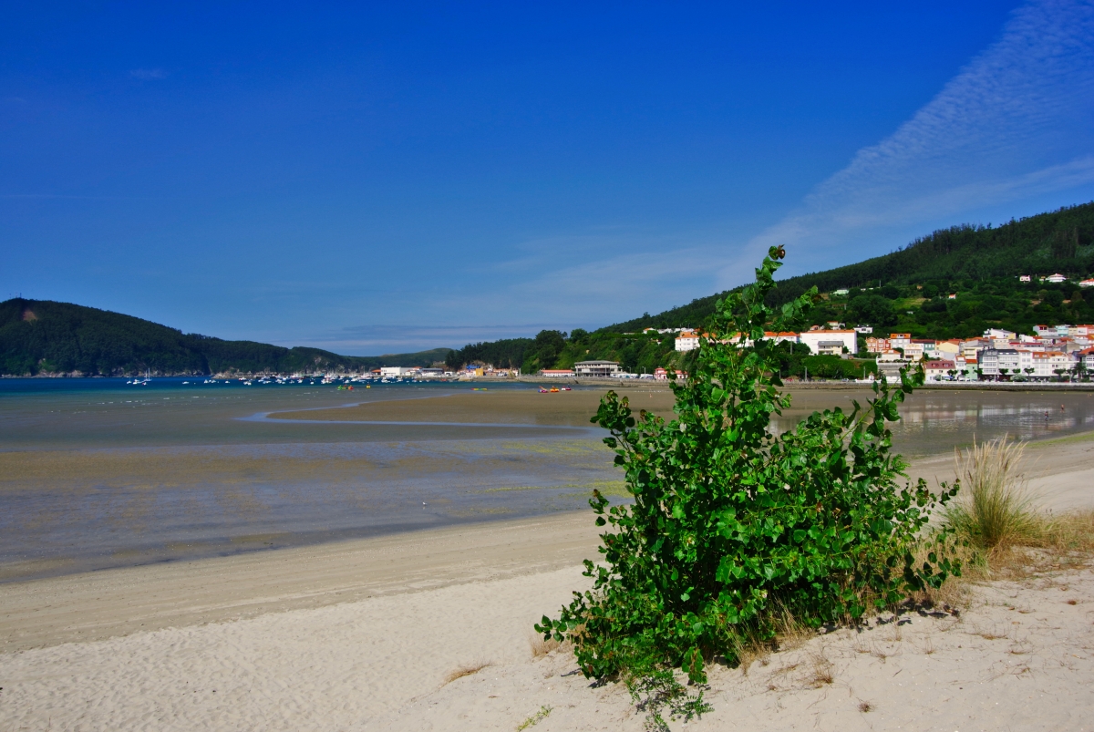 Playa Verdiazul II