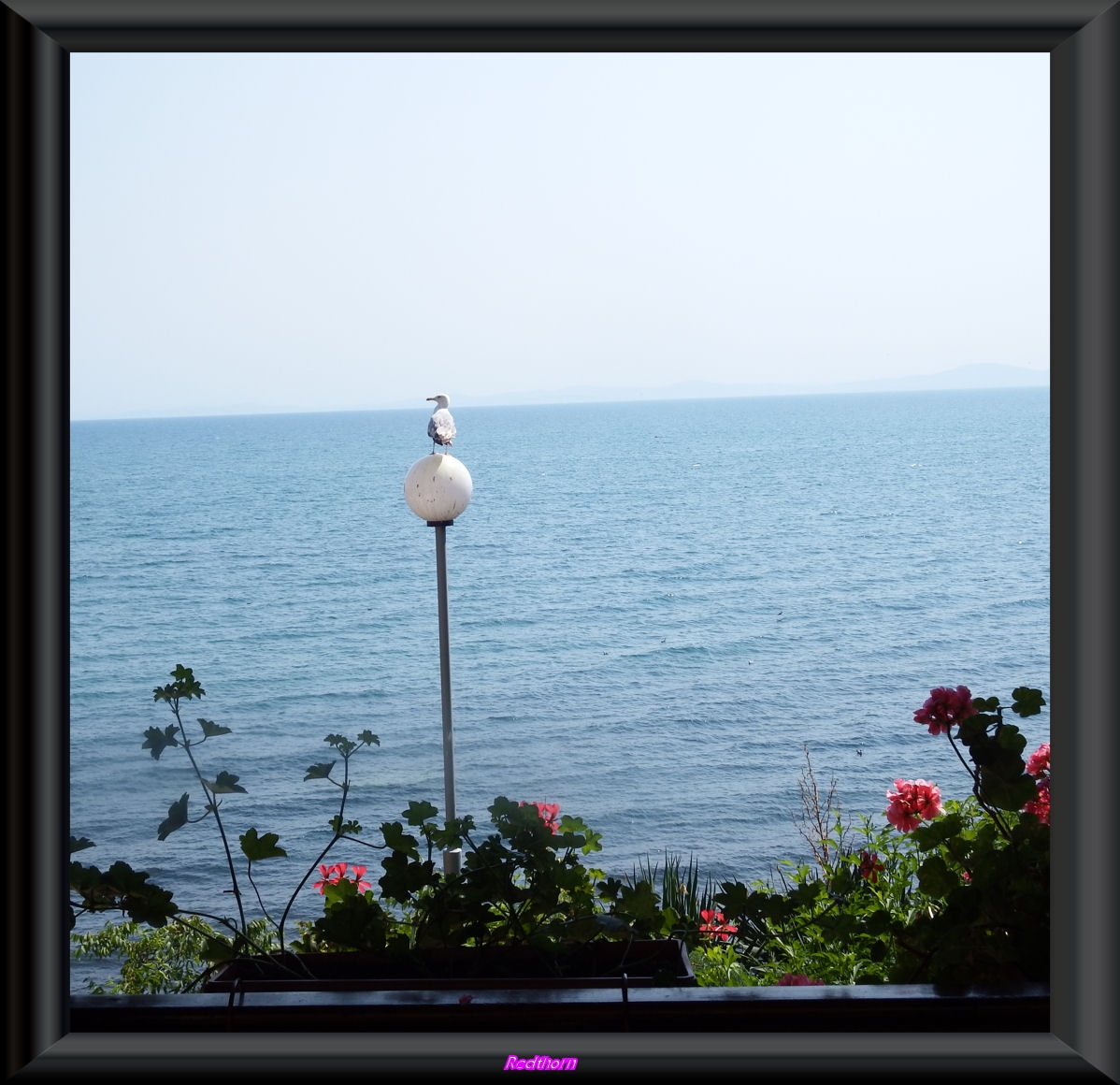 Oteando el horizonte en el mar Negro