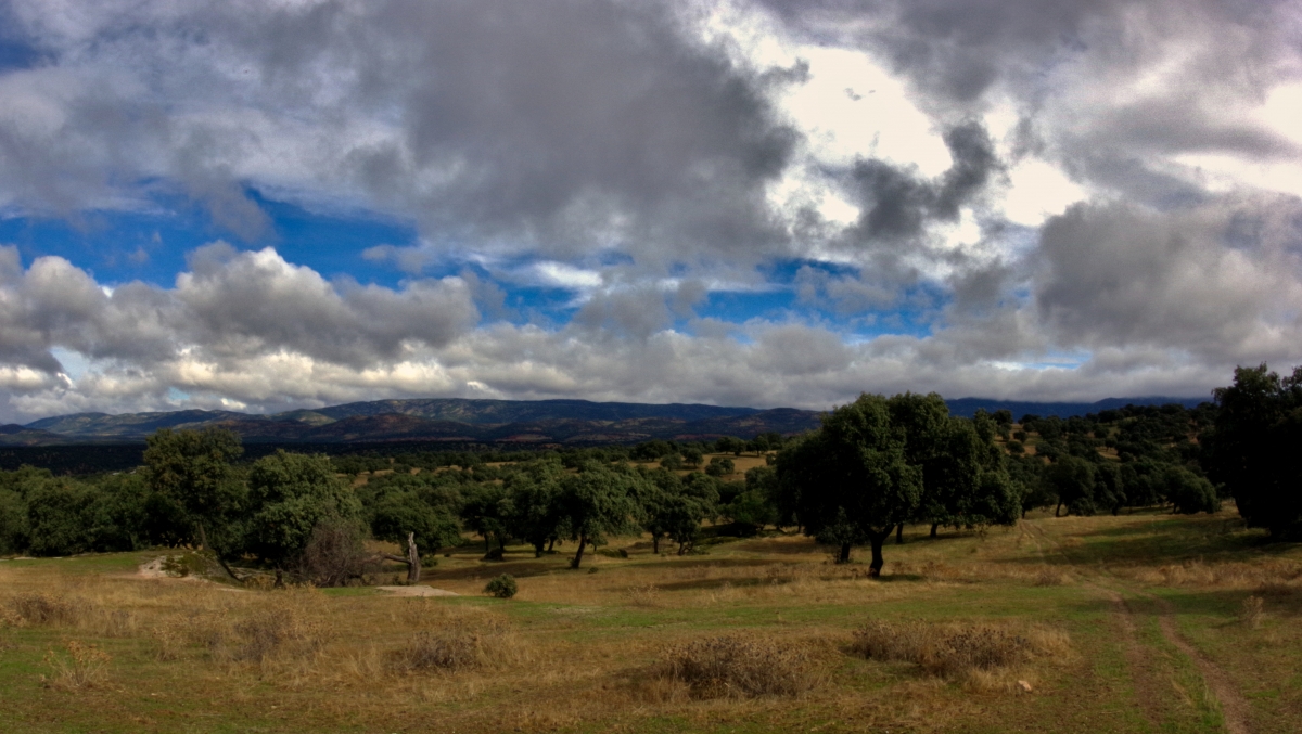 Sierra de Alcudia