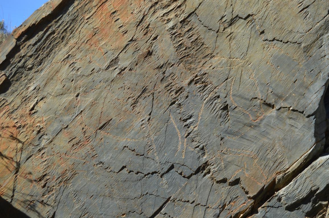 Siega Verde, Ro gueda, Salamanca. Patrimonio de la Humanidad. Hunesco Paleoltico fcmv