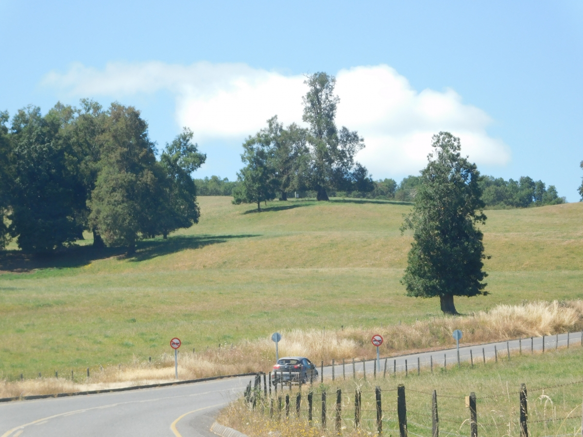 El camino te lleva para ver estos paisajes