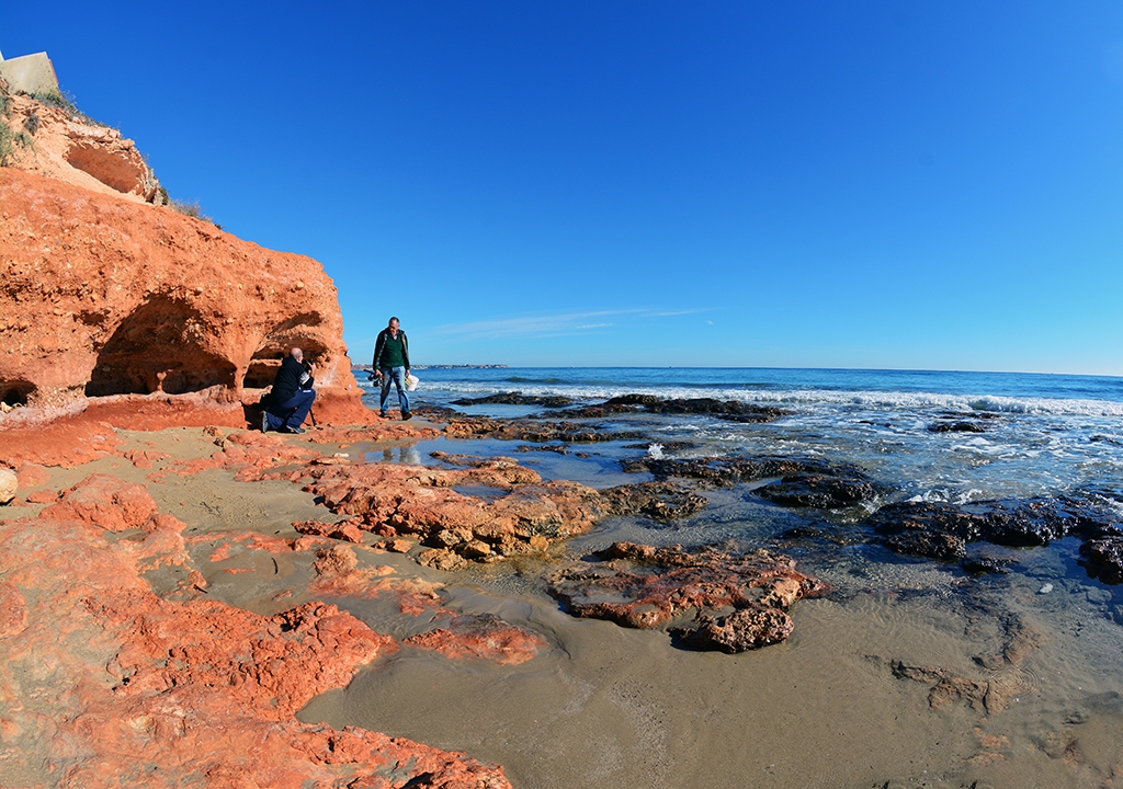 Playa torre la horadada