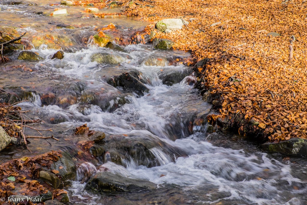 TORRENT DE TARDOR