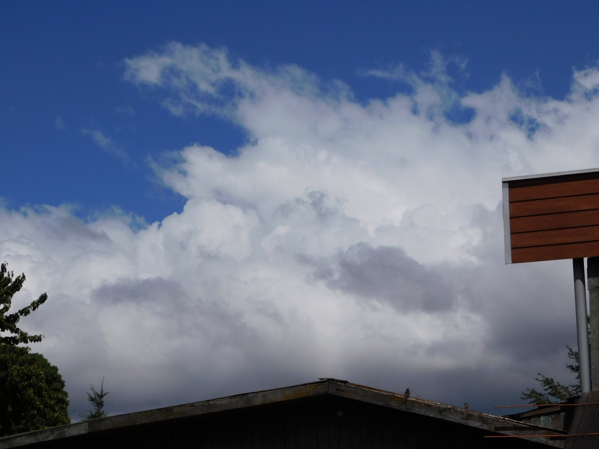 Las nubes amenazan con lluvia