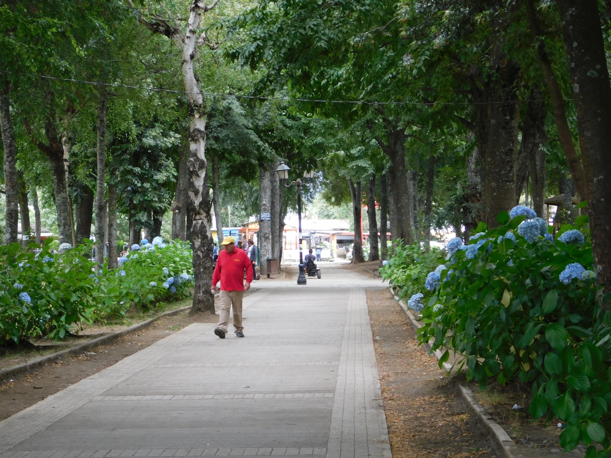 Hermosa plaza, con mucha vegetacin