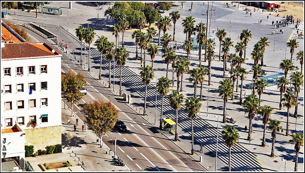 De Miramar a la Barceloneta, 37