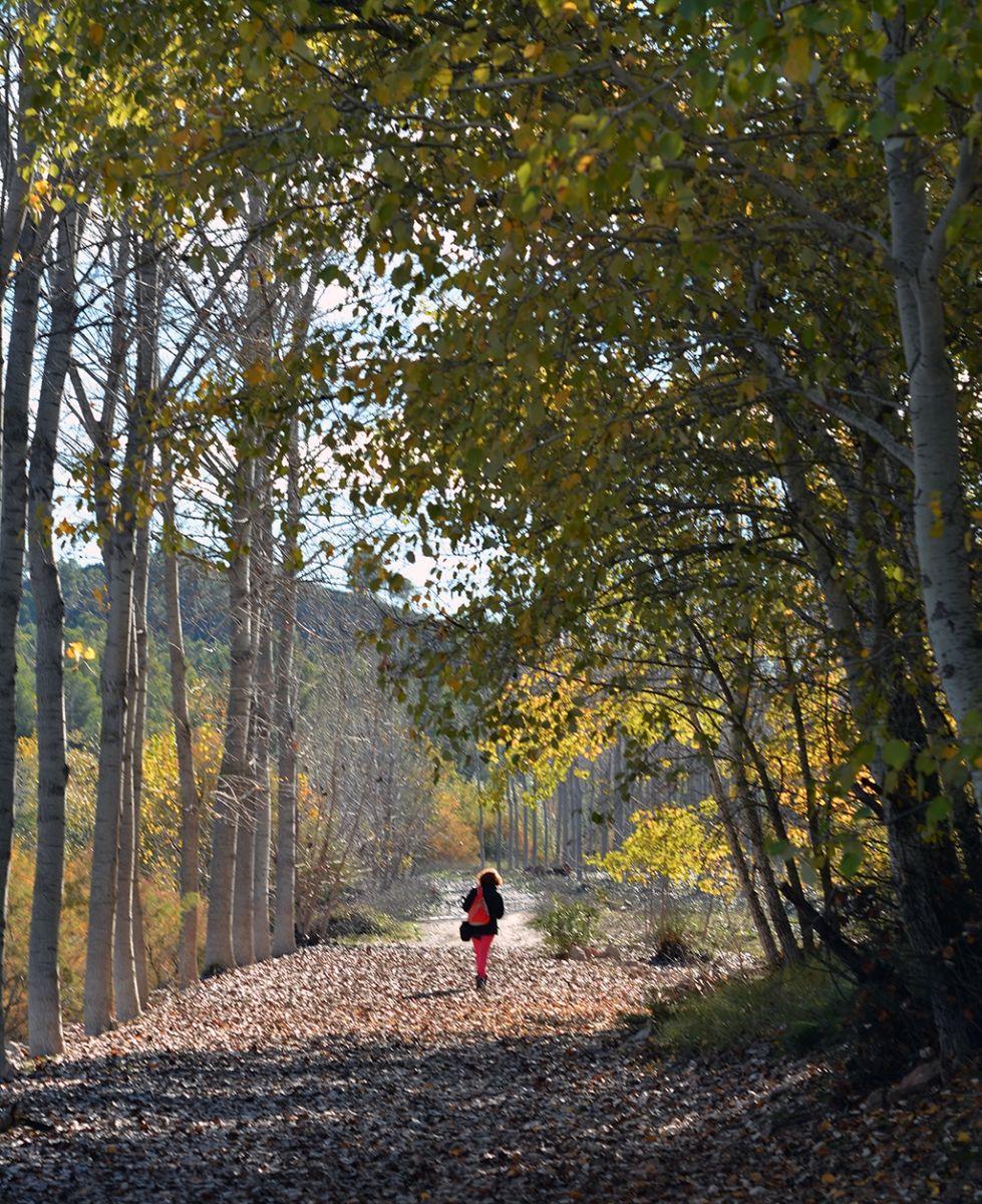 Paseo por el campo