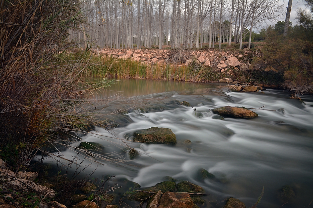 Rio mundo / Agramon/