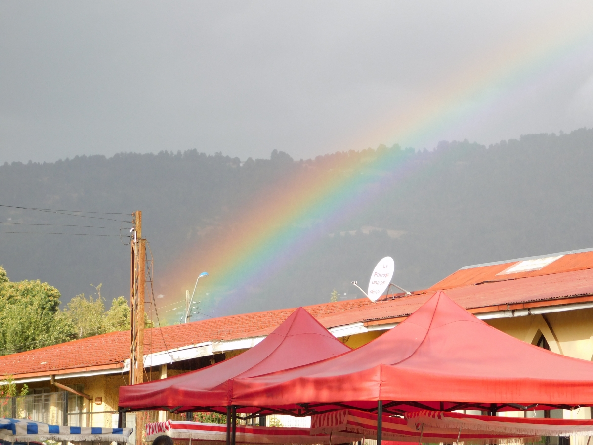 Despus de la lluvia apareci el, adivinen jajajaj