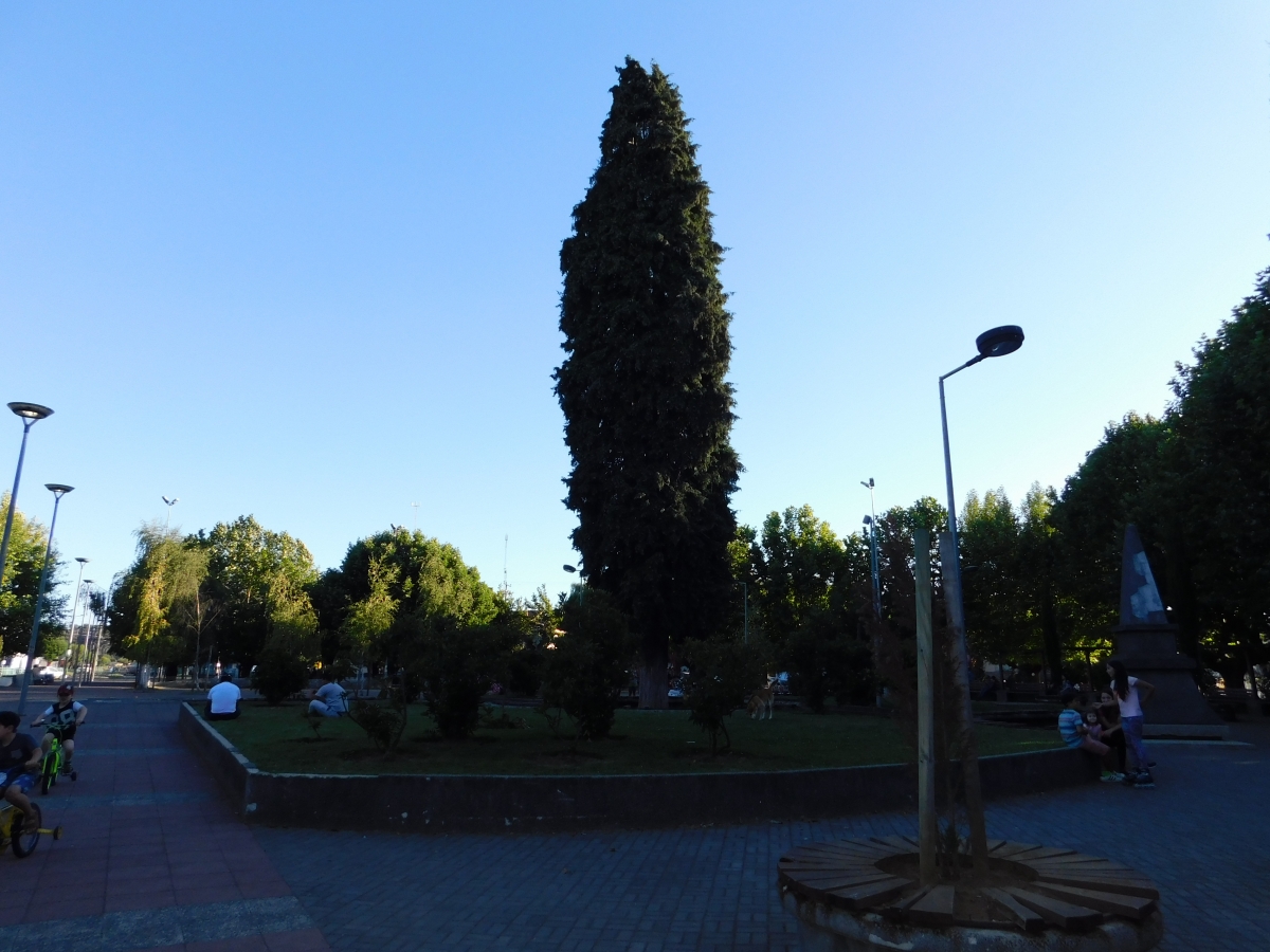 Plaza de Pitrufqun