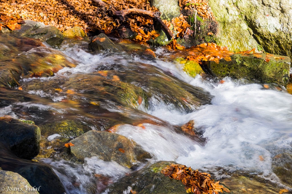 TORRENT DE TARDOR