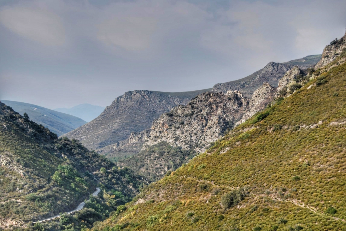 Montes Bercianos. O Bierzo. Len fcmv