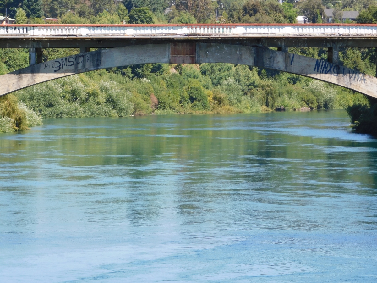 Otra vista del lago Villarrica