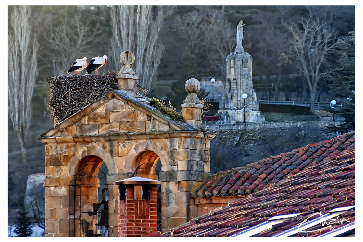 ANIDANDO (SORIA)