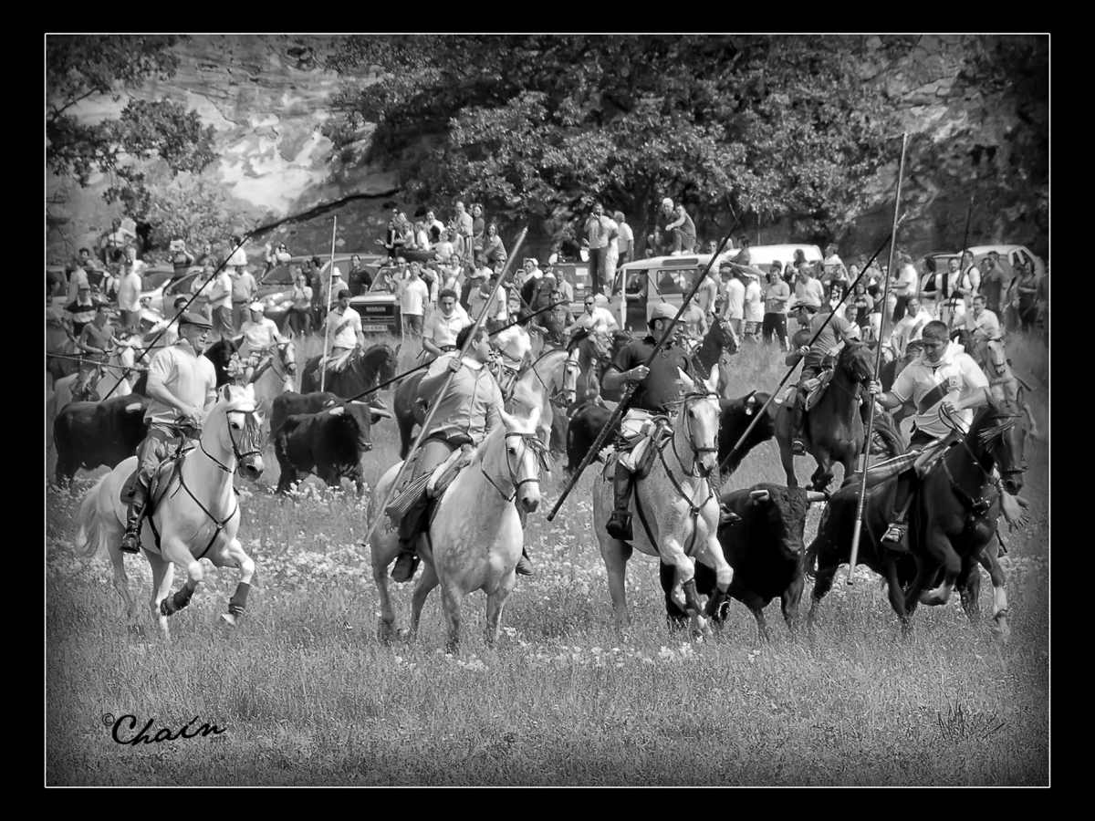 GARROCHISTAS EN LA SACA