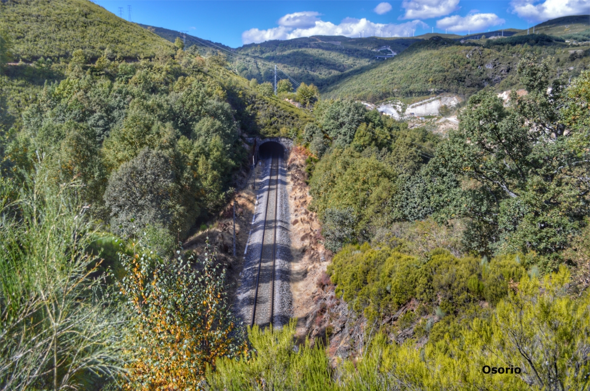 Teixedelo de Requeixo de Sanabria