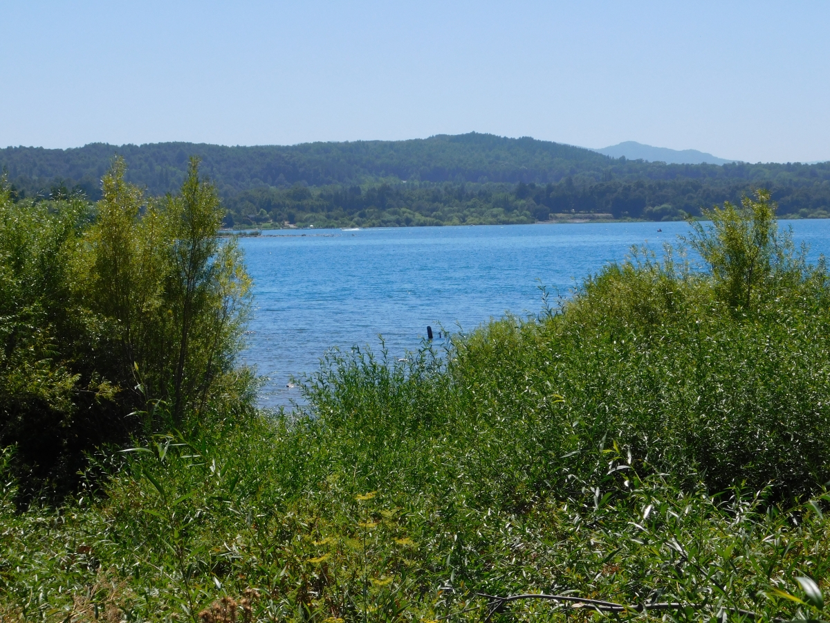 Otra vista del inmenso lago Villarrica