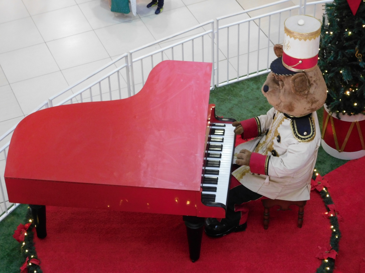 Esta guena esta, un oso pianista jajajaja