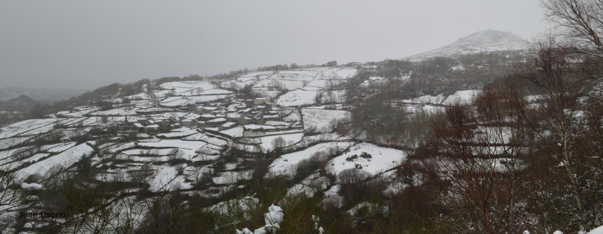 Neve: Casteligo. Chandrexa de Queixa fcmv