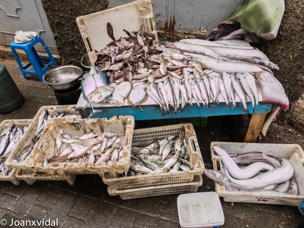 PESCADO RECIN PESCADO