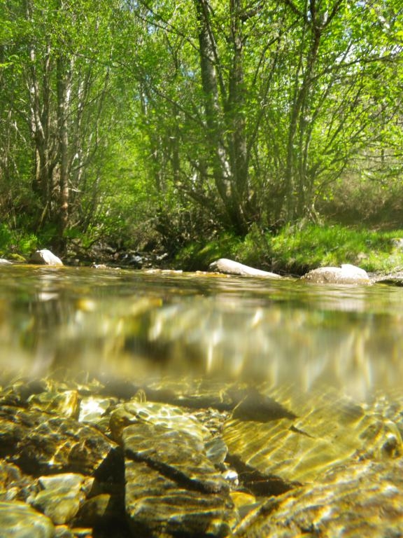 Rota a Queixelia. Chandrexa de Queixa. Galicia byJOM DPLF