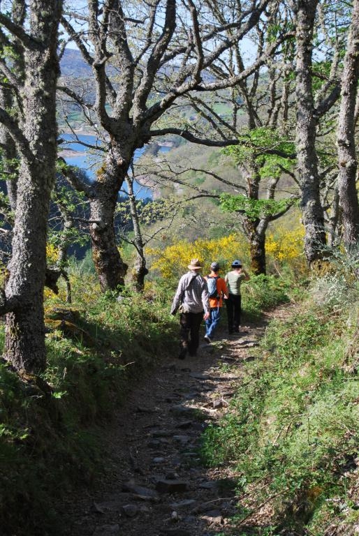 Rota a Queixelia. Chandrexa de Queixa