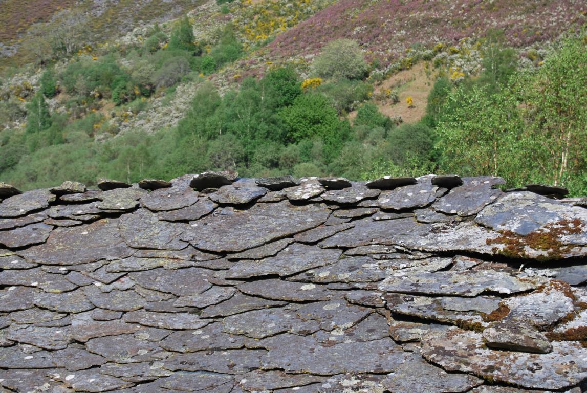 Rota a Queixelia. Chandrexa de Queixa fcmv