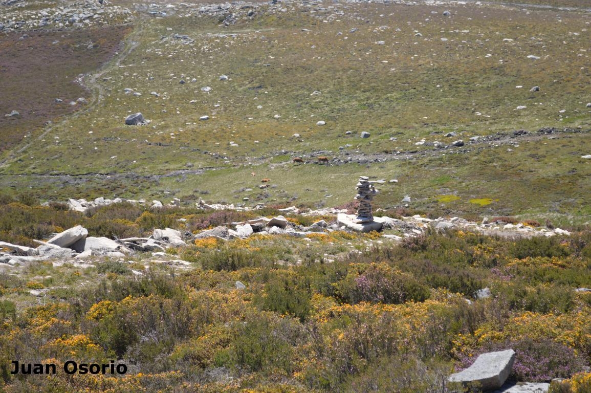 Homes de Pedra. Manzaneda fcmv