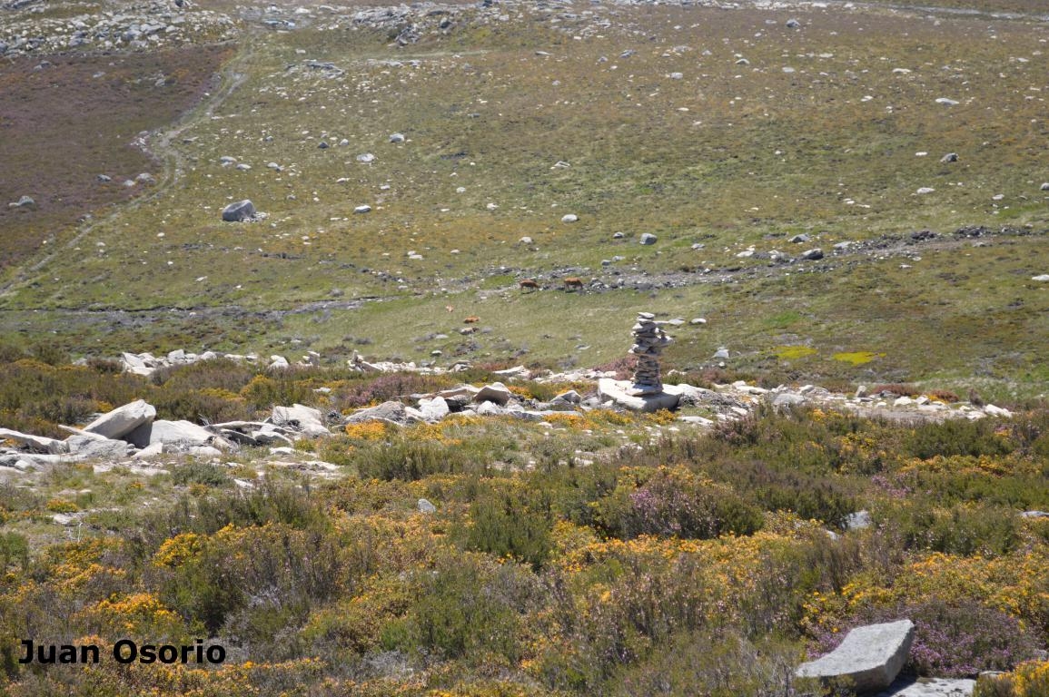 Homes de Pedra