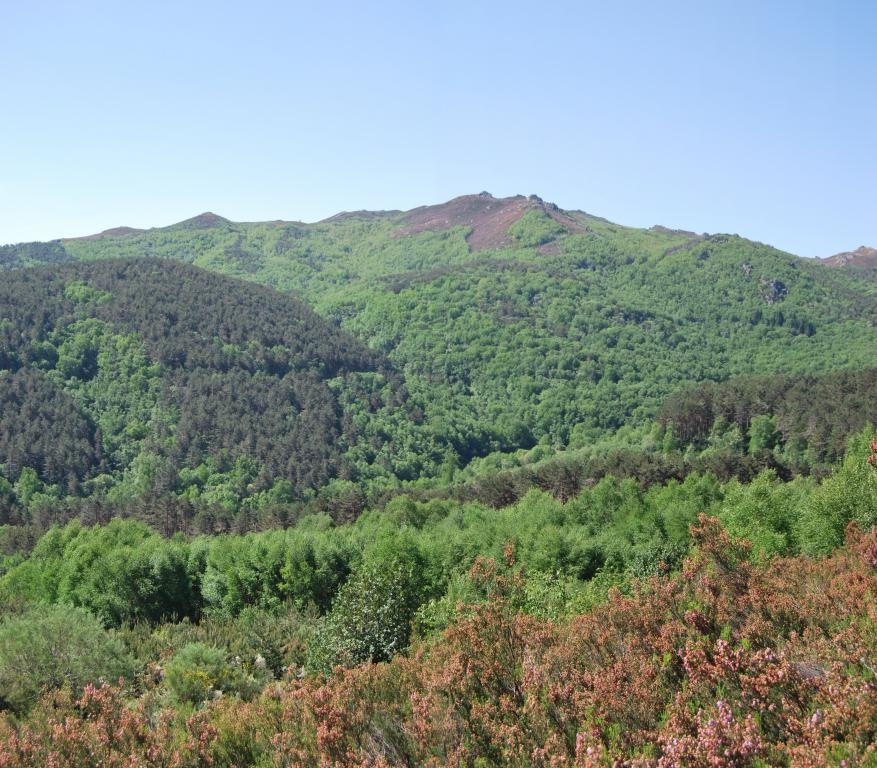 Bidueiral de Gabn. Montederramo. Ribeira Sacra. Rede Natura 2000 byJOM fcmv