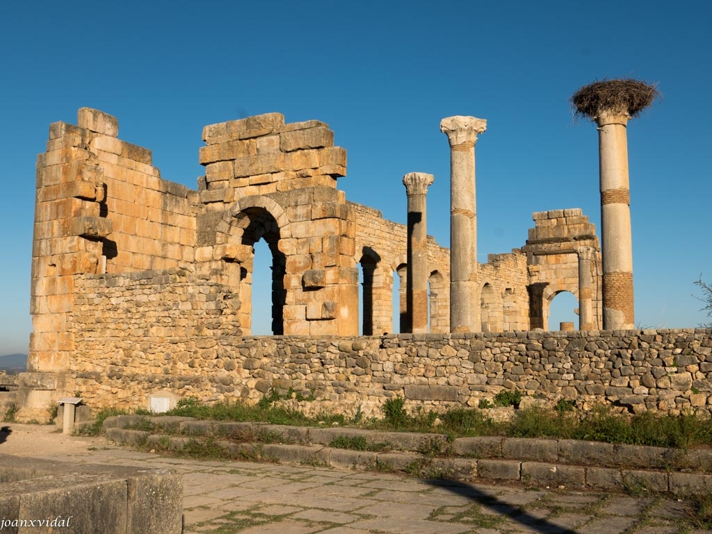 FORO ROMANO