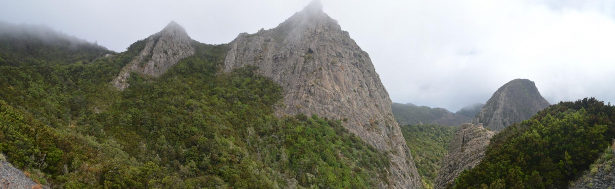 Garajonay. La Gomera. Islas Canarias fcmv DPLF