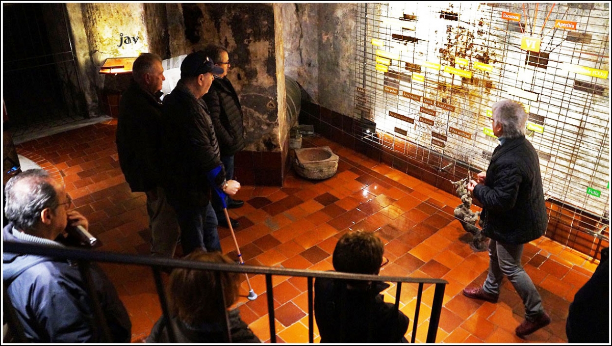 Visita a una bodega de vino y cava, 22