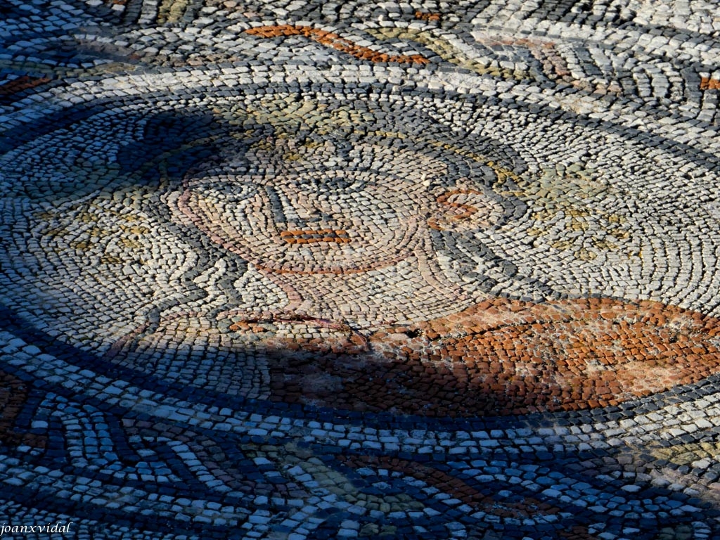 MOSAICO ROMANO