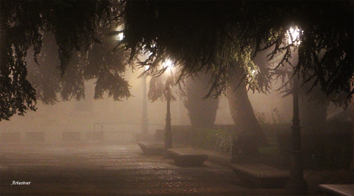 niebla