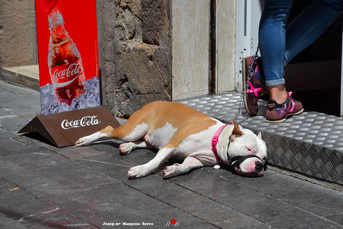 Sensa coca es viu millor