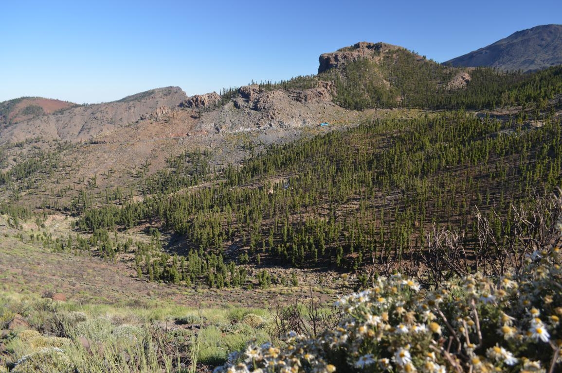 PN del Teide. Tenerife. Islas Canarias fcmv