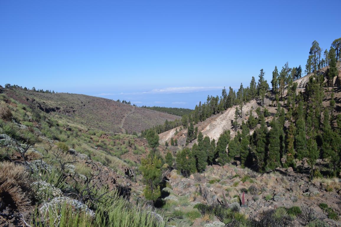 PN del Teide