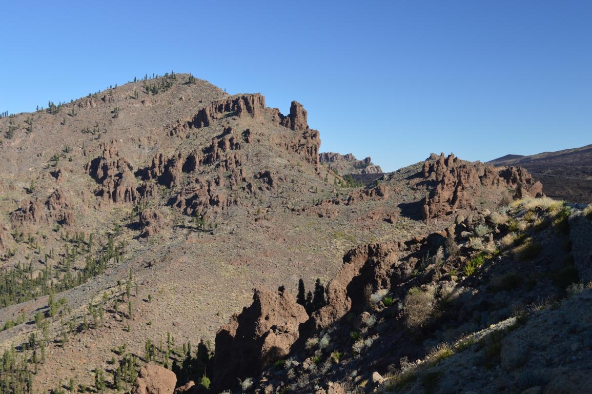 PN del Teide. Tenerife. Islas Canarias 