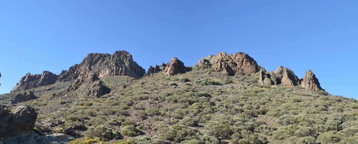 PN del Teide. Tenerife. Islas Canarias fcmv