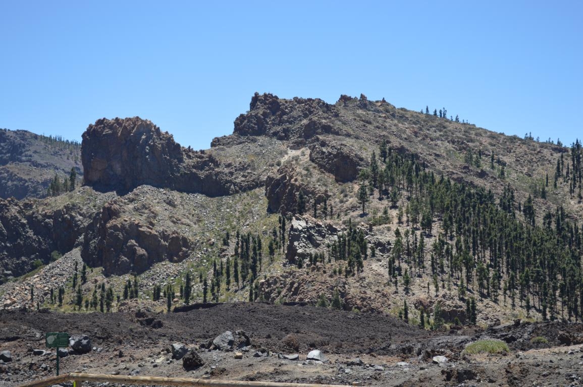 PN del Teide. Tenerife. Islas Canarias 