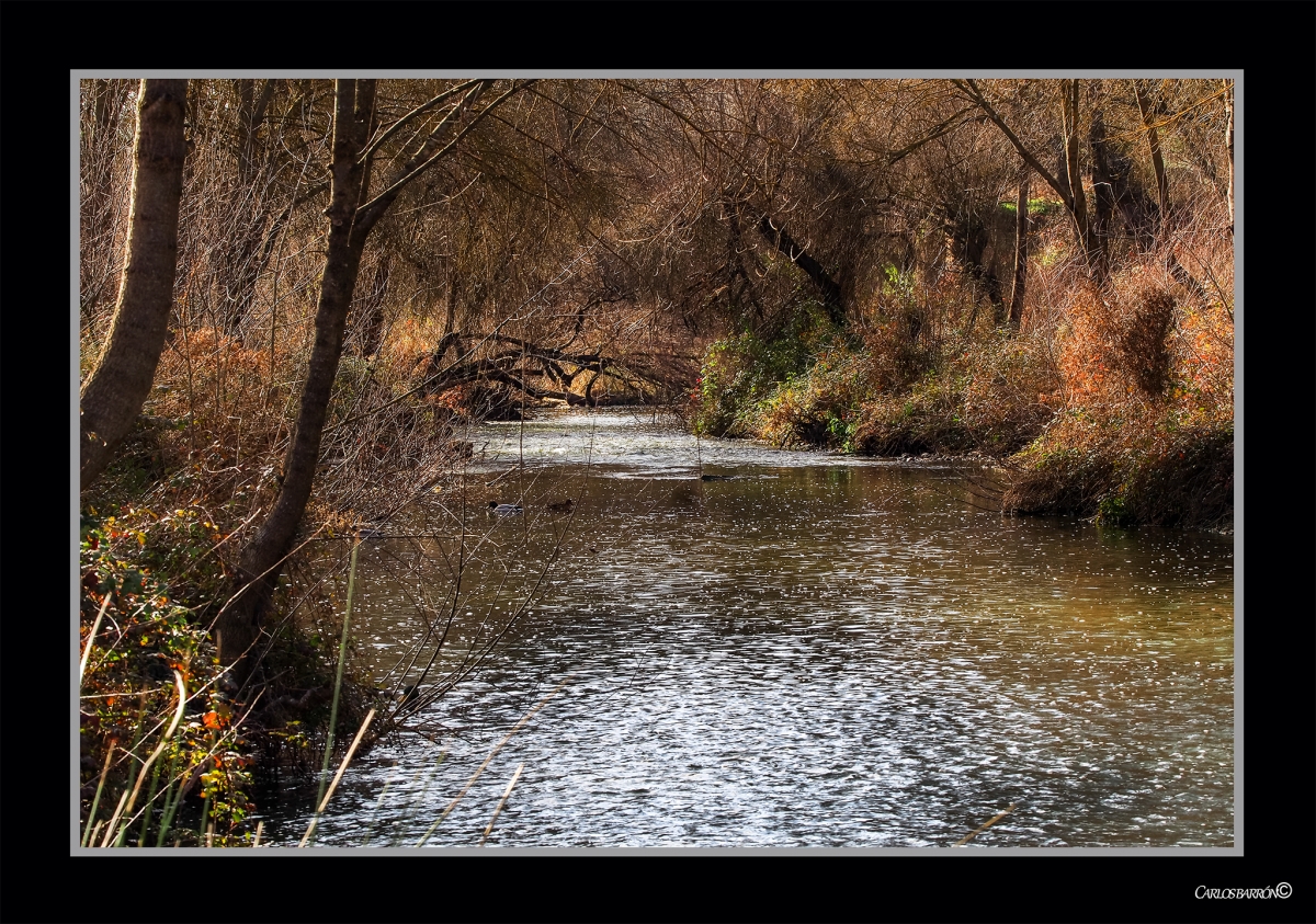 EL MANZANARES, RIO DE MADRID