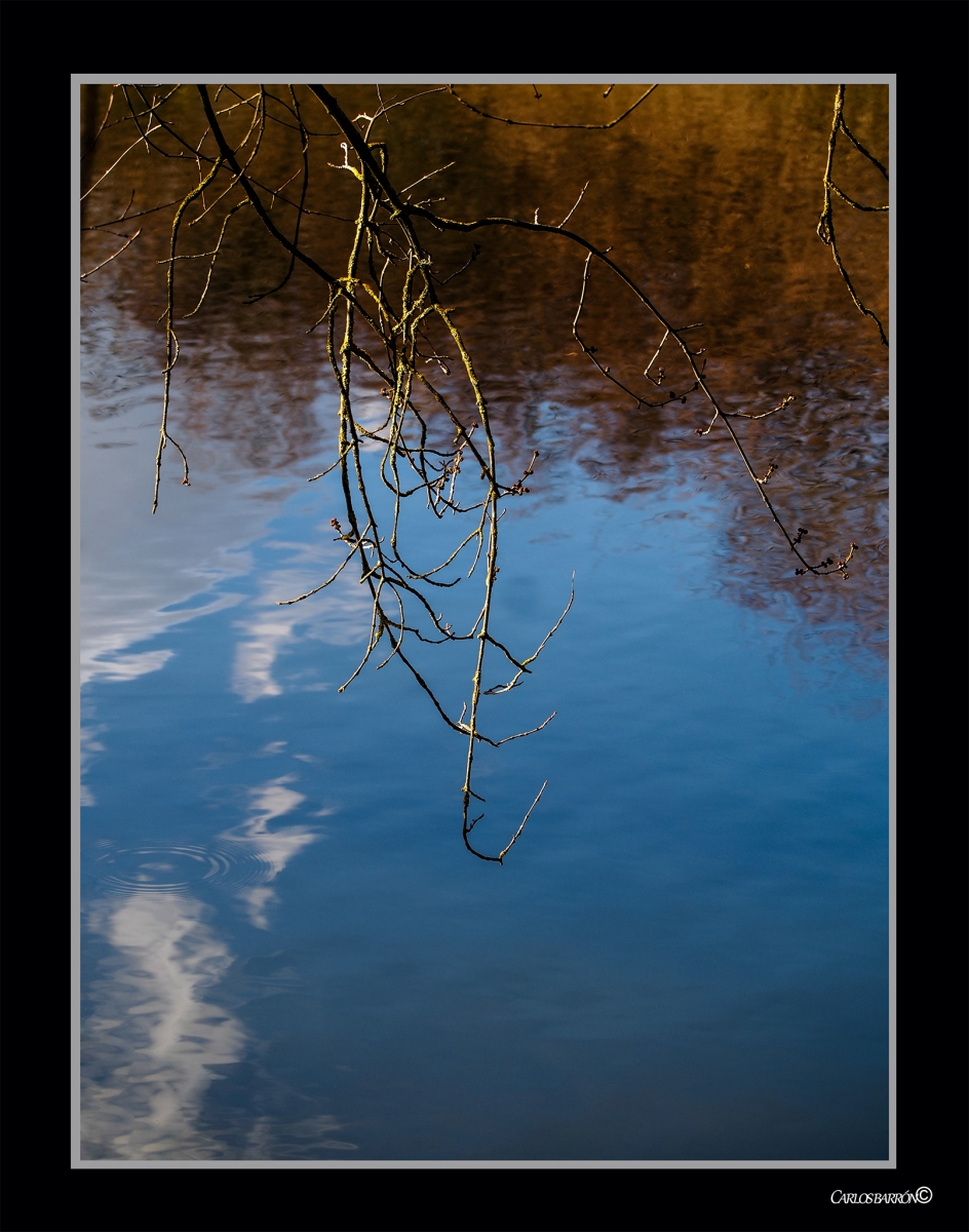 DOUX REFLETS DASN LA RIEVIRE