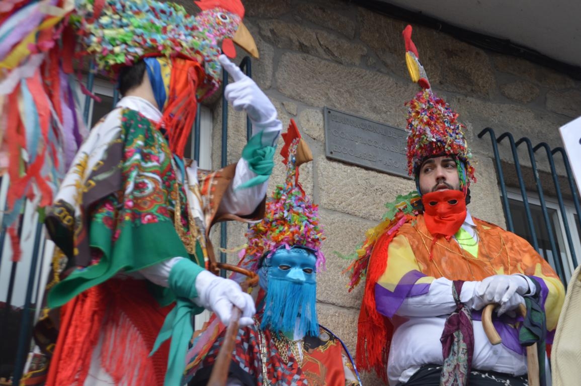 Mascarada: galos da Mezquita ( A Merca). Ourense. Entroido  fcmv