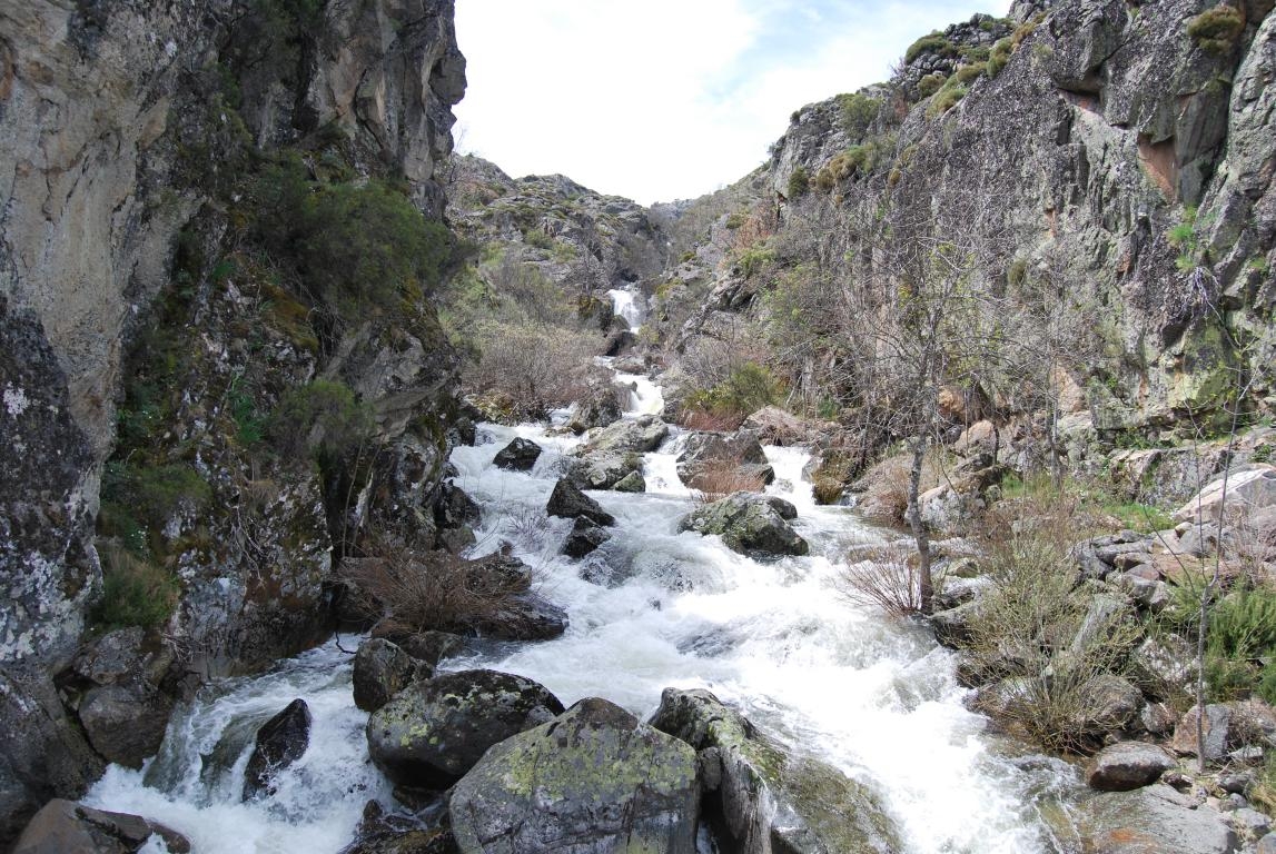Ro Moncabril.  Sanabria. Zamora