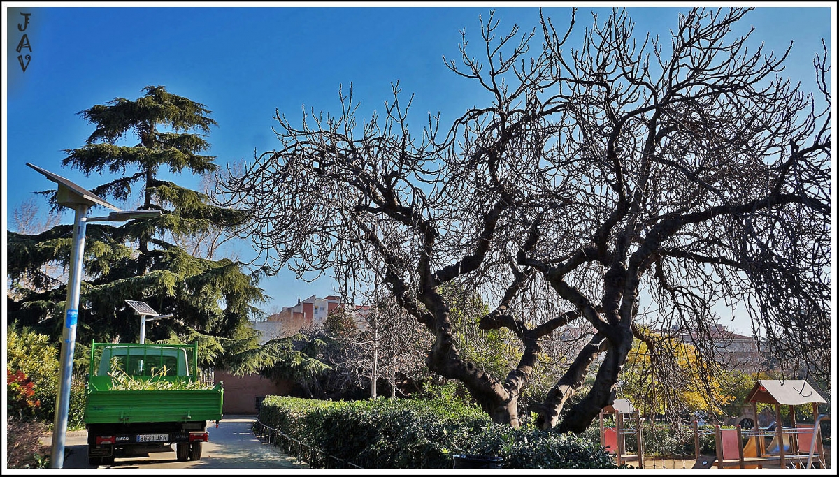 Parque de Las Aguas, 20